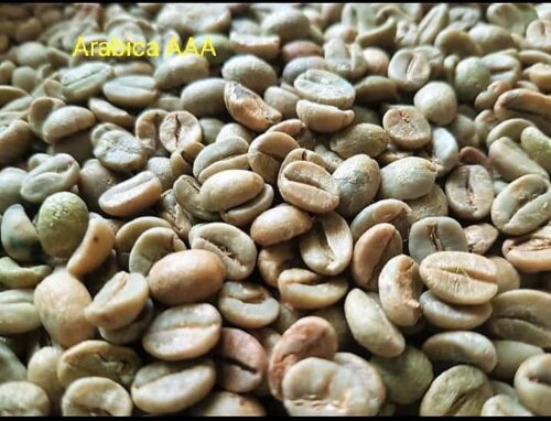 Arabica Green Beans