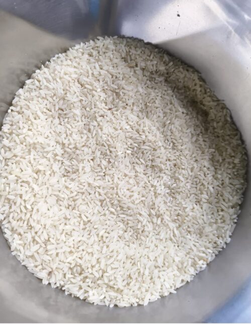 1008 Kolam Rice