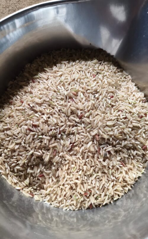 Hatsadi Rice